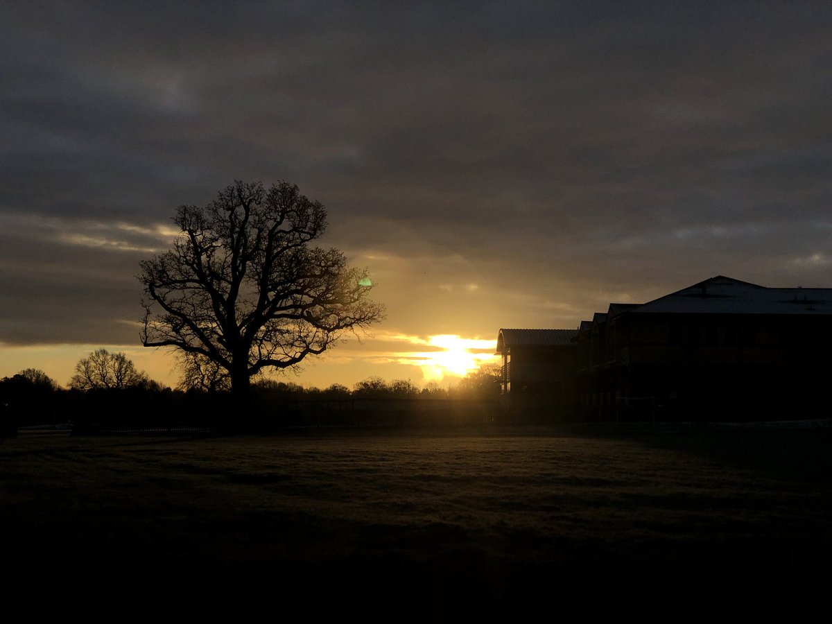 IBBY_R's tweet photo. Making the most of my camera, enjoy☺️ https://t.co/QieOJ6RJUo