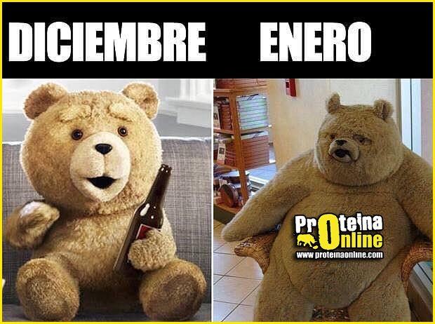 ¿Cómo lleváis la Navidad?

ProteinaOnline.com