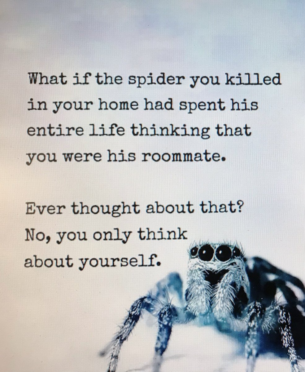JayBirdATL's tweet photo. @frangeladuo @AngelaVShelton   Spiders and slavery!  Just selfish!  LOL!!  I love you ladies!  Merry Christmas! (holding that greeting in for 9 years)!  Give my best to Detroit and Beijing as you visit your families! https://t.co/iul8VQ2kGt