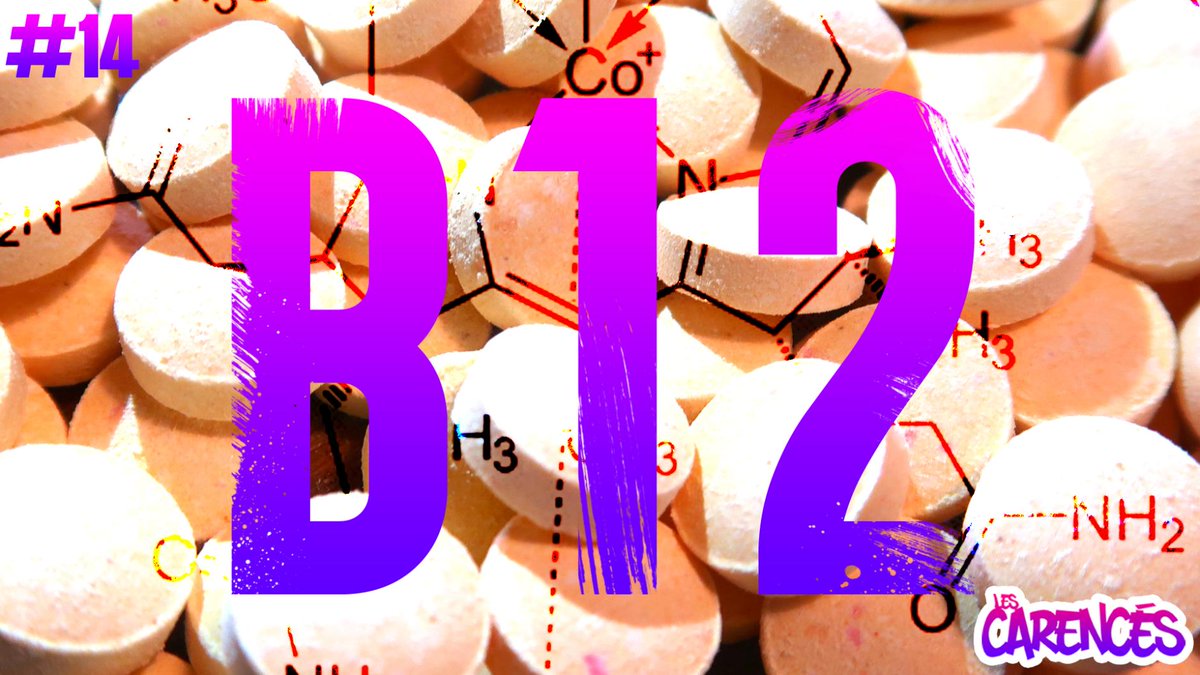 NOUVEL ÉPISODE - #PRENDSTAB12 !

Cette 14ème émission enregistrée au <a href="/VeggieWorldFR/">VeggieWorldFR</a> de Marseille aborde exclusivement un des aspects les plus importants quand on est végétarien•ne ou végétalien•ne : la vitamine #B12. Un grand merci à notre invité Constantin de la <a href="/SocieteVegane/">Société végane</a>