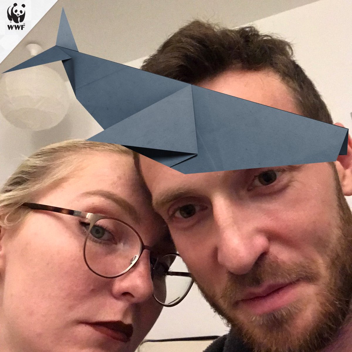 preconcurrency's tweet photo. Together we can protect whales. #WWFTogether: https://t.co/BQ08WghJMx https://t.co/El4mDS4JMp