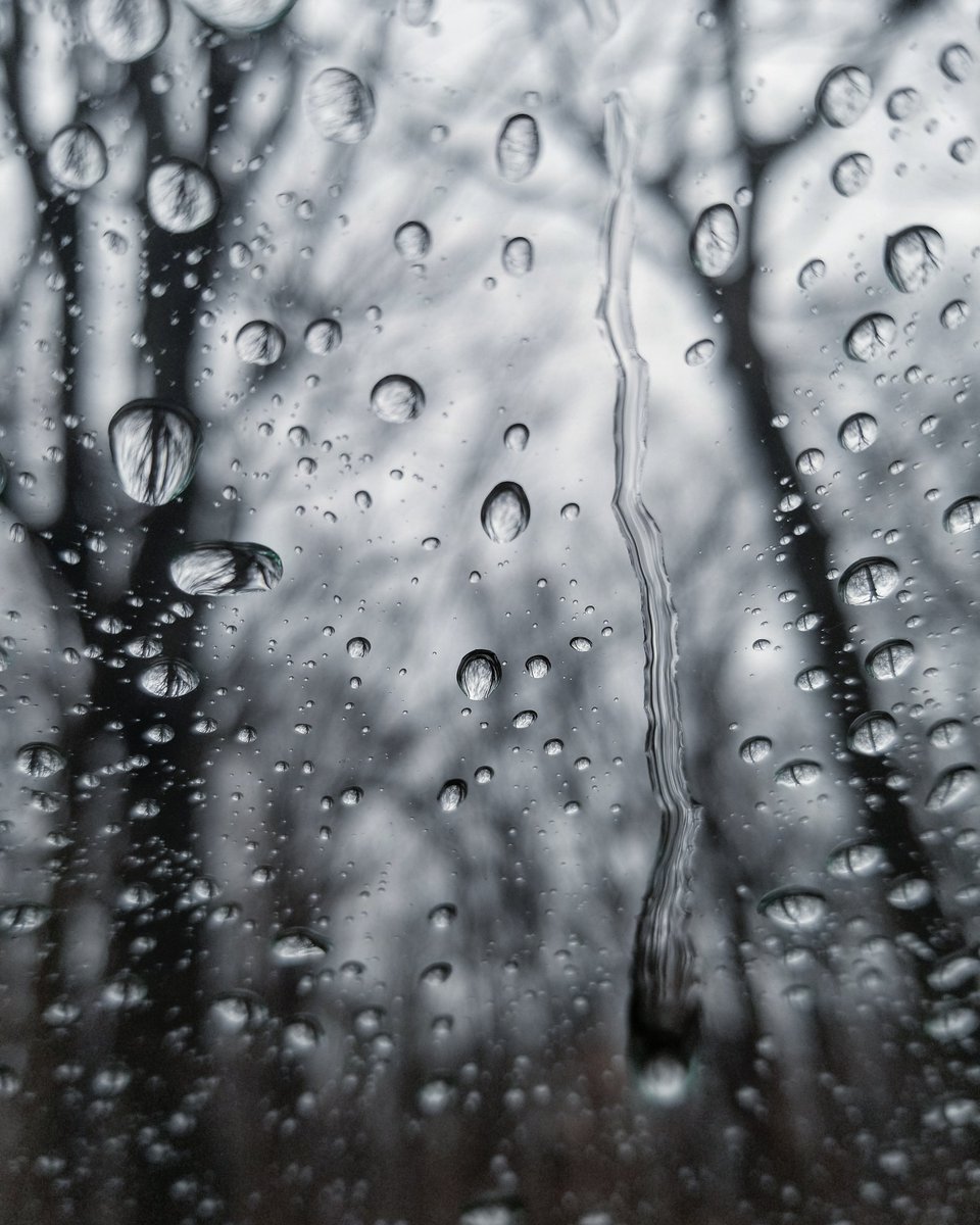 juancarlost6s's tweet photo. #raindrops https://t.co/sS4MPhceGL