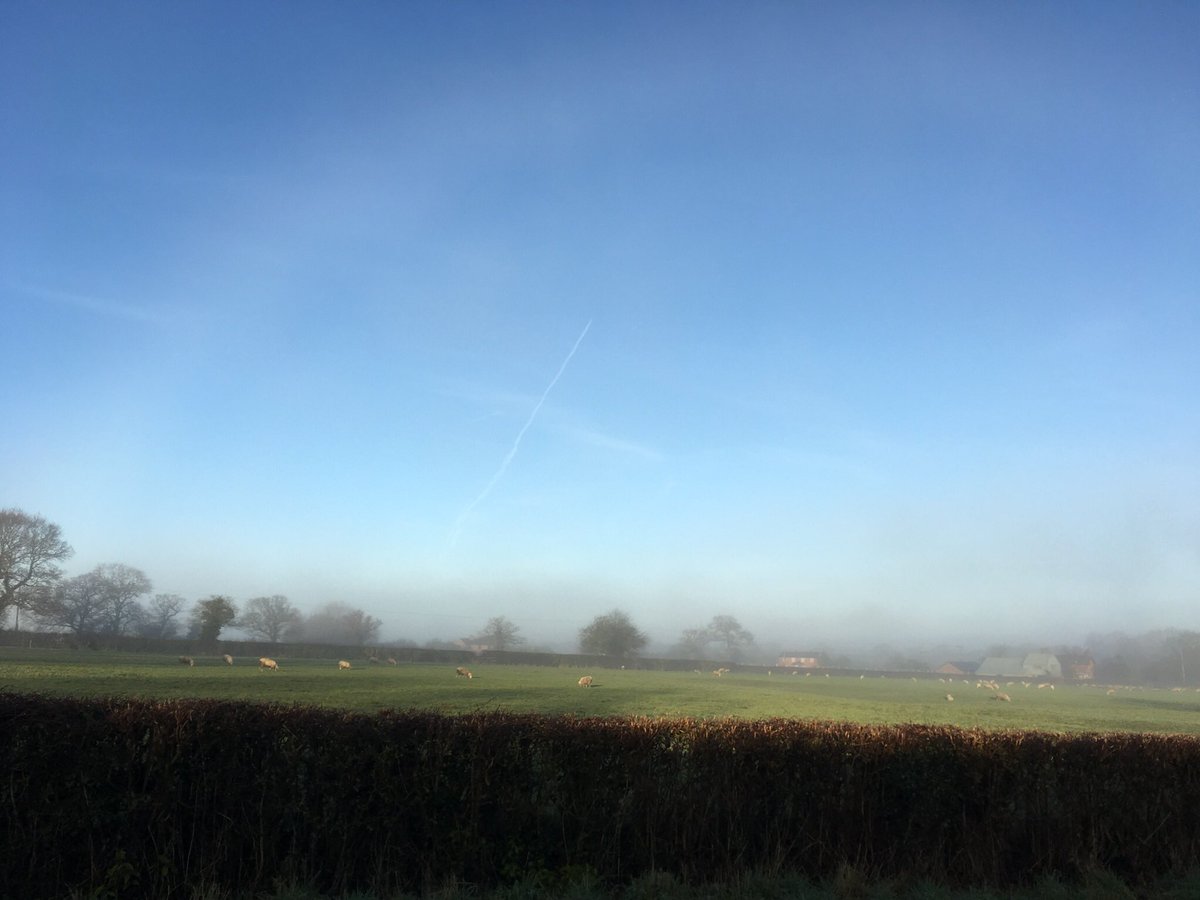 PammityP's tweet photo. @bbcweather thought you might like to see the fog bow that we saw this morning in Cheshire West https://t.co/BJq6rZxrNM