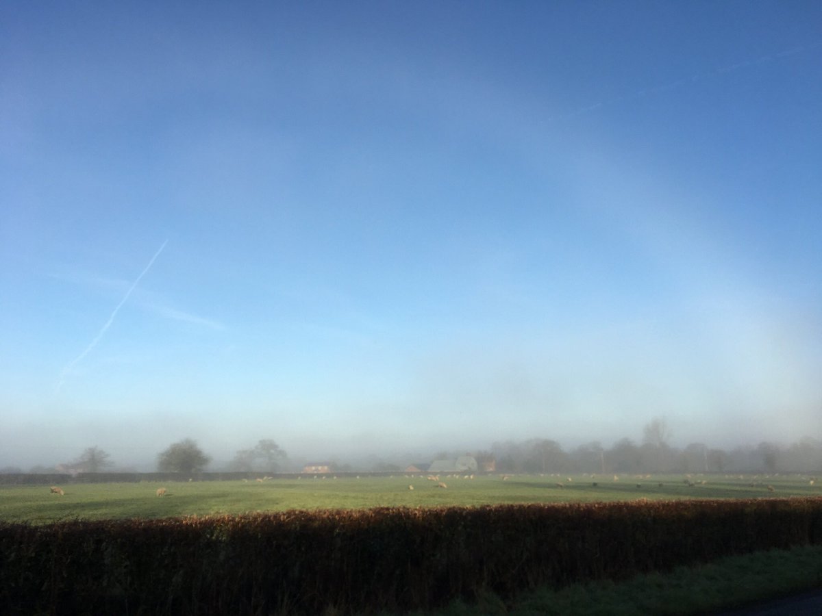 PammityP's tweet photo. @bbcweather thought you might like to see the fog bow that we saw this morning in Cheshire West https://t.co/BJq6rZxrNM