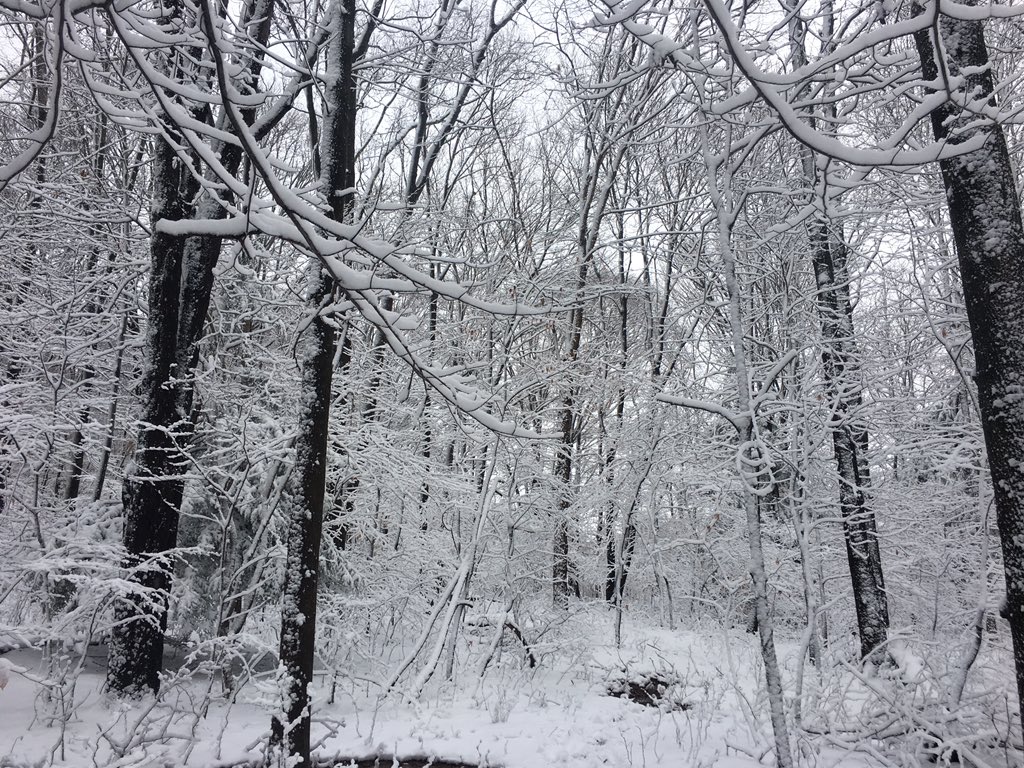 janellermiller's tweet photo. Oh how I missed this gorg place!! Pennsylvania u r a true beauty! 🙏❤️ https://t.co/wB6TqyfVLb