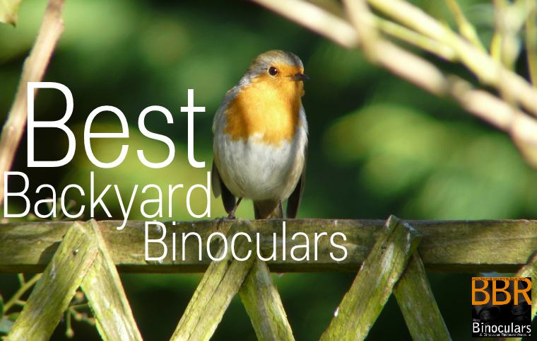 Best Bino Reviews On Twitter Backyard Bird Watching Binoculars