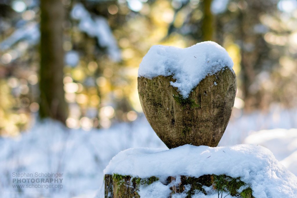 Frohe und besinnliche Festtage und einen guten Start im neuen Jahr schobinger.org/2017/12/23/fro…