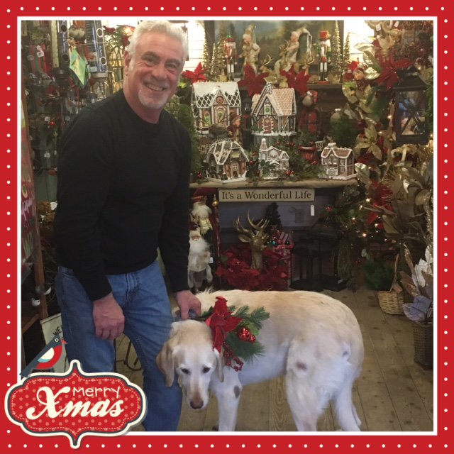 Schoolhousearth's tweet photo. Merry Christmas from Stephen and Sebastian! https://t.co/Ab04voACbi