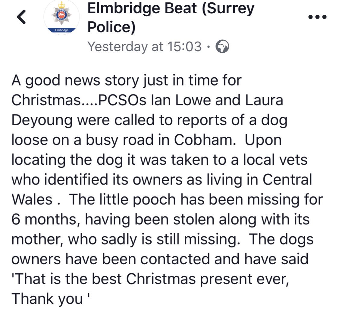 Stolen&Missing Pets tweet media