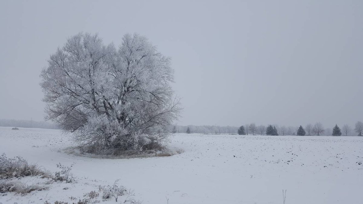pfenningsfarm's tweet photo. The farm is a truly beautiful place today. Hushed and full of #wintersplendour. #Pfennings4me #decemberbeauty #winterwonderland #snowyparadise https://t.co/dWM5KyRBBW