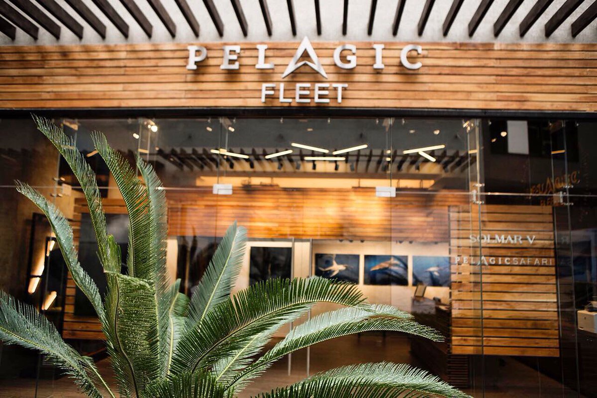 PelagicSafari's tweet photo. Our Pelagic Fleet Shop and Gallery is now open in Puerto Paraiso in Cabo San Lucas.
https://t.co/gkLYAqNxaB
#PelagicFleet #PelagicSafari https://t.co/HdYB3i4ipz