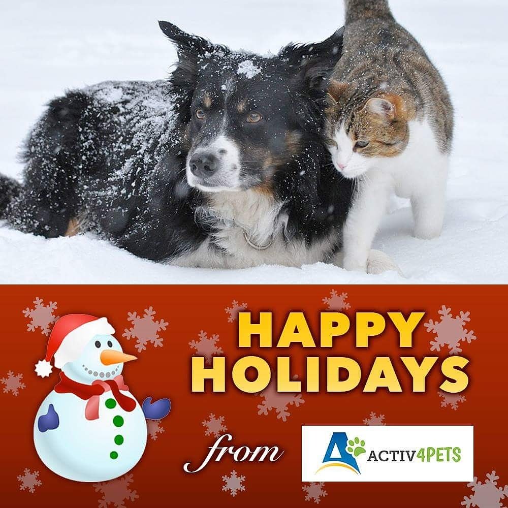 Activ4Pets's tweet photo. #HappyHolidays from the team at #Activ4Pets! Have a wonderful (and safe) festive period with your fur babies! https://t.co/pOoKtDGLop