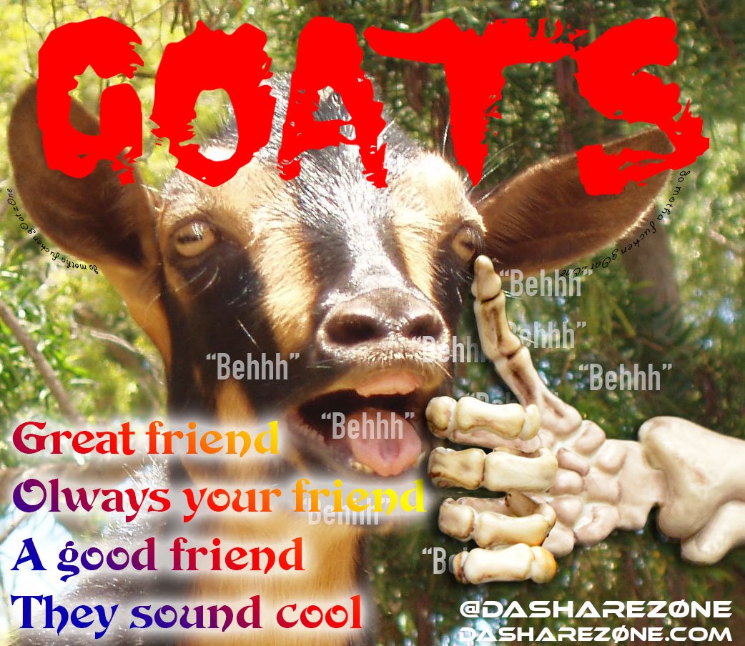 SHOUT OUT TO GOATS THE BEST FRIEND TO ALL GENDER'S - ADMIN https://t.co/pOwVycTn1v SHARE IF YOU AGGREE -ADMIN