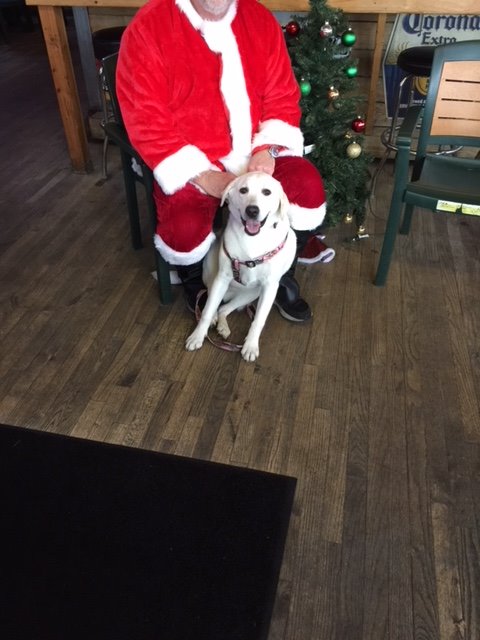 DadzBar's tweet image. Dadz dog party with Santa is in full swing!!