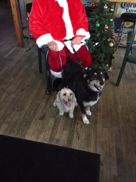 DadzBar's tweet image. Dadz dog party with Santa was a great time!