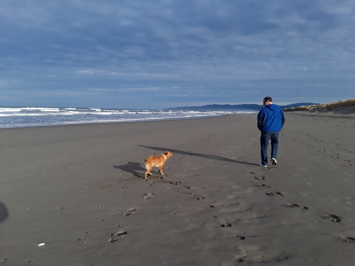 SchLibrary's tweet photo. Vacations afford teachers walks on the beach to revitalize . #vacation #Beach https://t.co/vHvIzW2I7T
