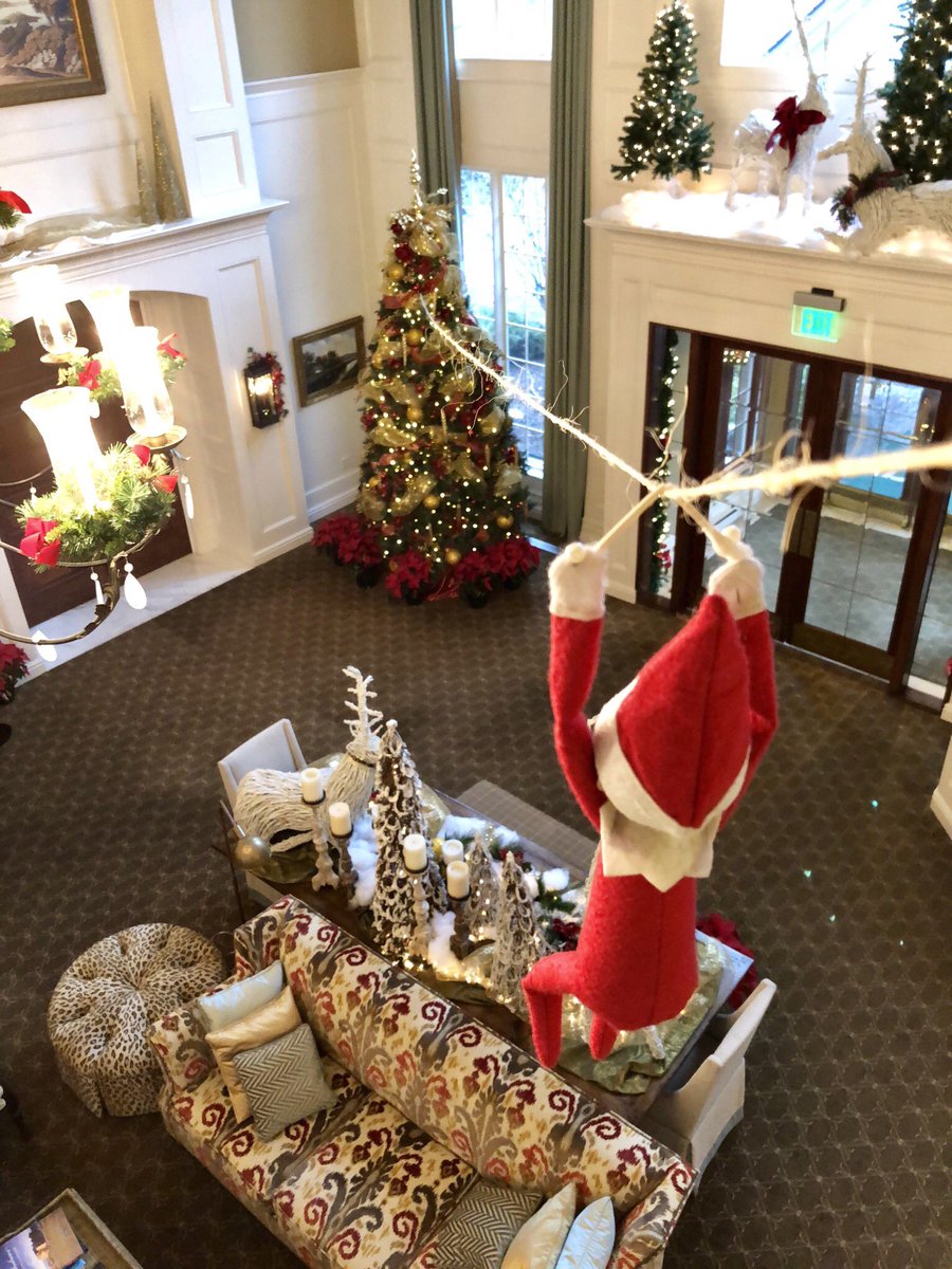 PLCCLife's tweet photo. All clear for landing! Bogie had a fun time zip lining in the lobby last night! #PLCCBogie #PLCCLife
•
•
•
#elfontheshelf #holidayfun #magicelf #familyfun #santa #ziplining https://t.co/2DABQpwstG