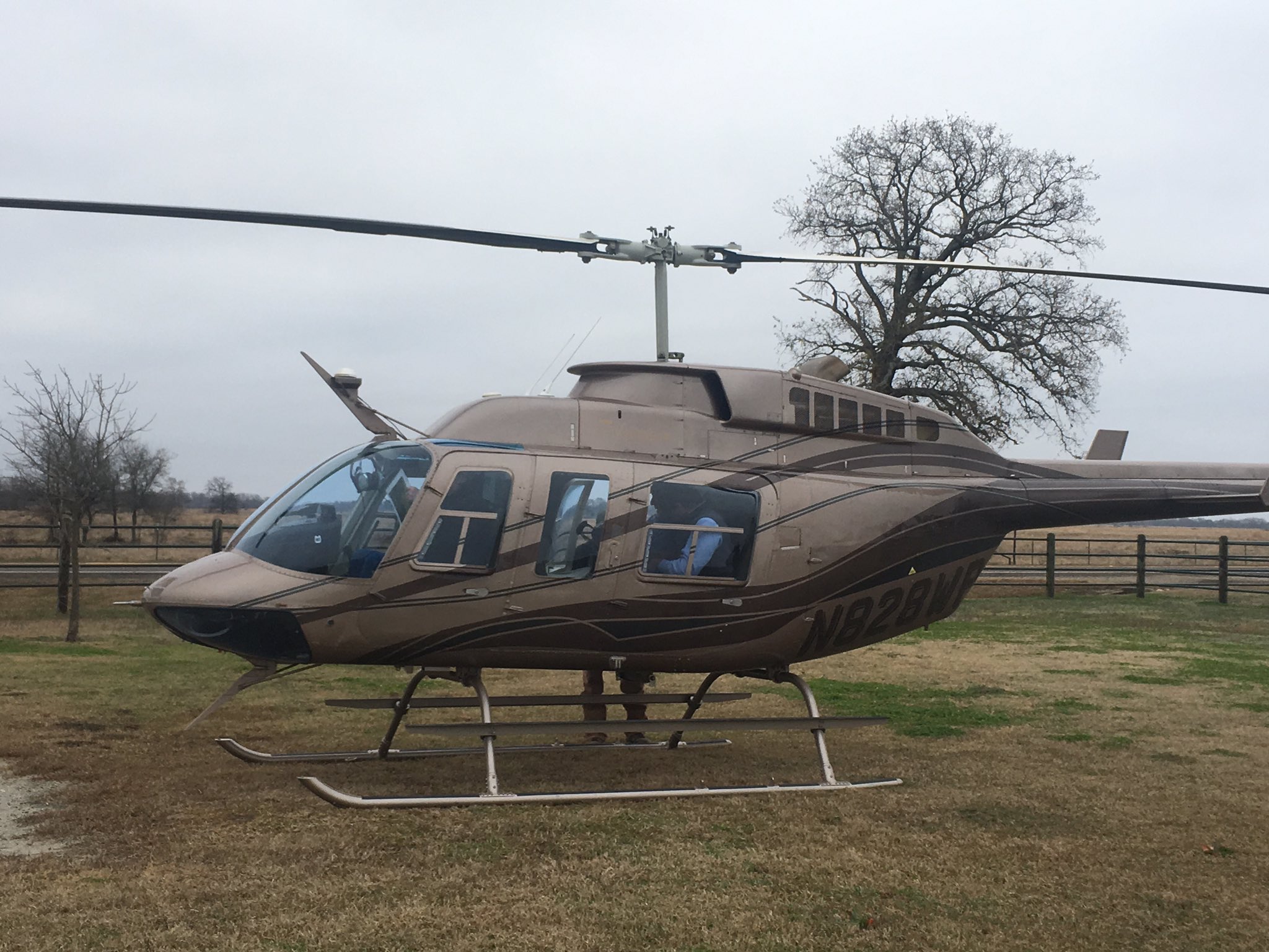 Felton Ranch Sales on Twitter "Another good day in the office looking