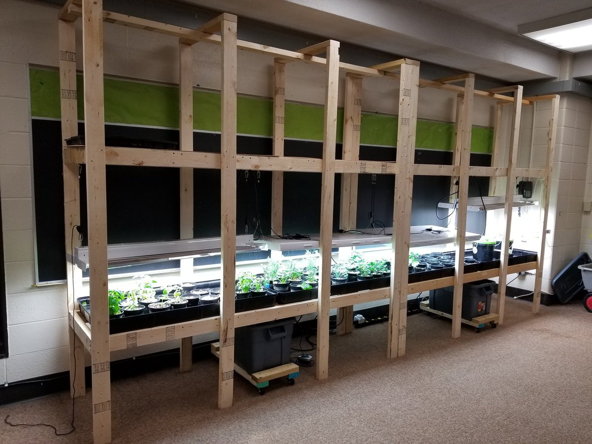 LESHerbmania's tweet photo. They new and improved hydroponics area!  #thingsaregrowing #hydroponics #schoolgardens https://t.co/6kJVvhsDwm