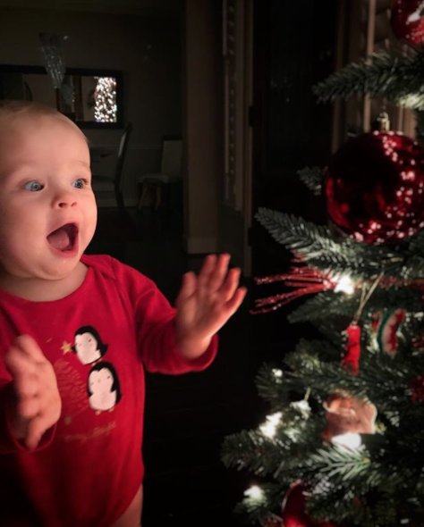 Ellen degeneres christmas pictures