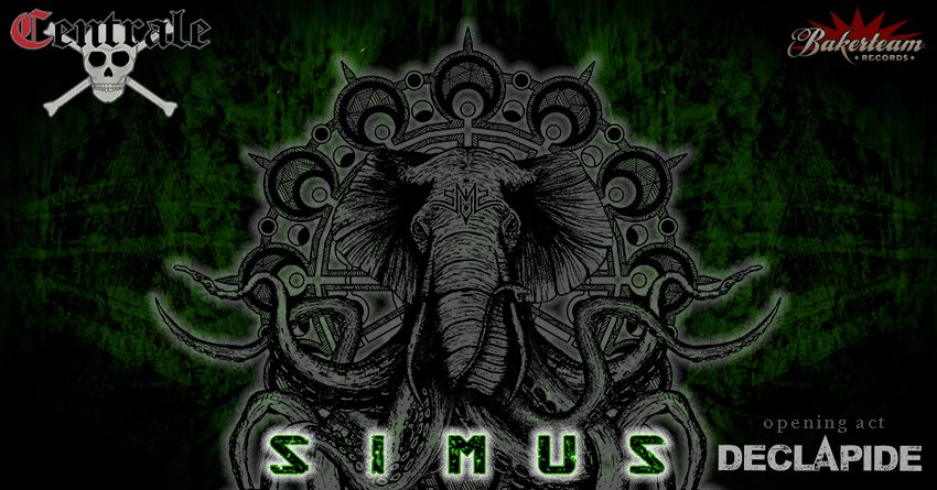 SIMUS tweet media