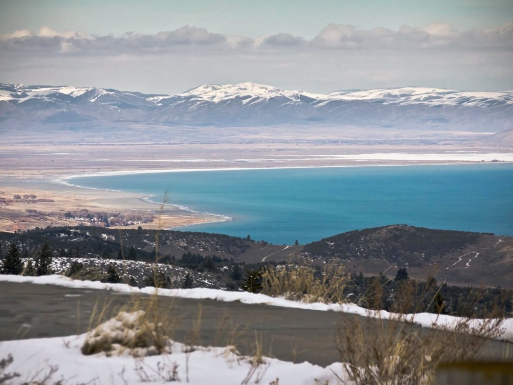 BearLakeMonster tweet media