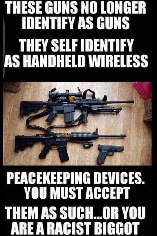Image result for Firearm