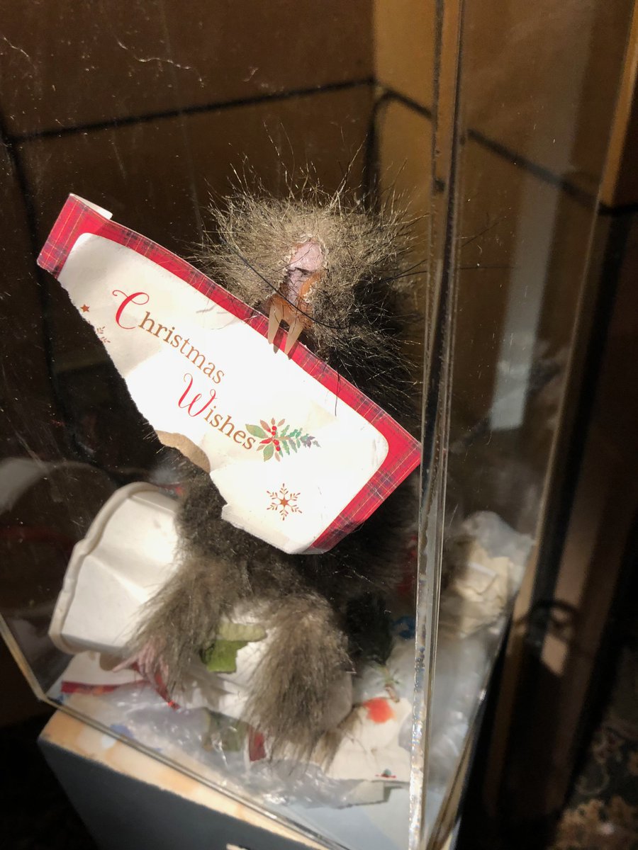 Julia Jarcho tweet media