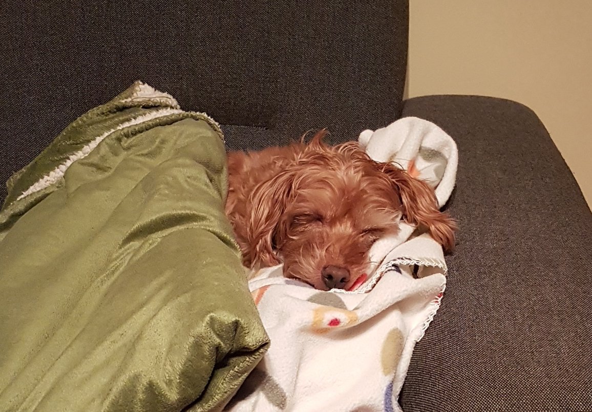 Anne Edenro tweet media