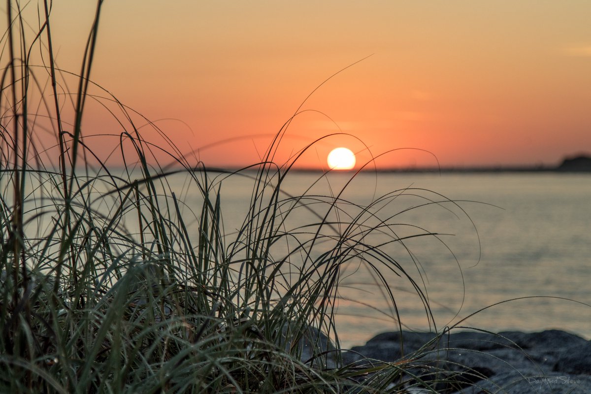 RollWithSoul's tweet image. 