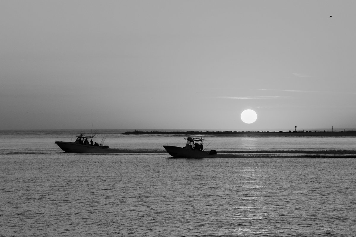 RollWithSoul's tweet image. 