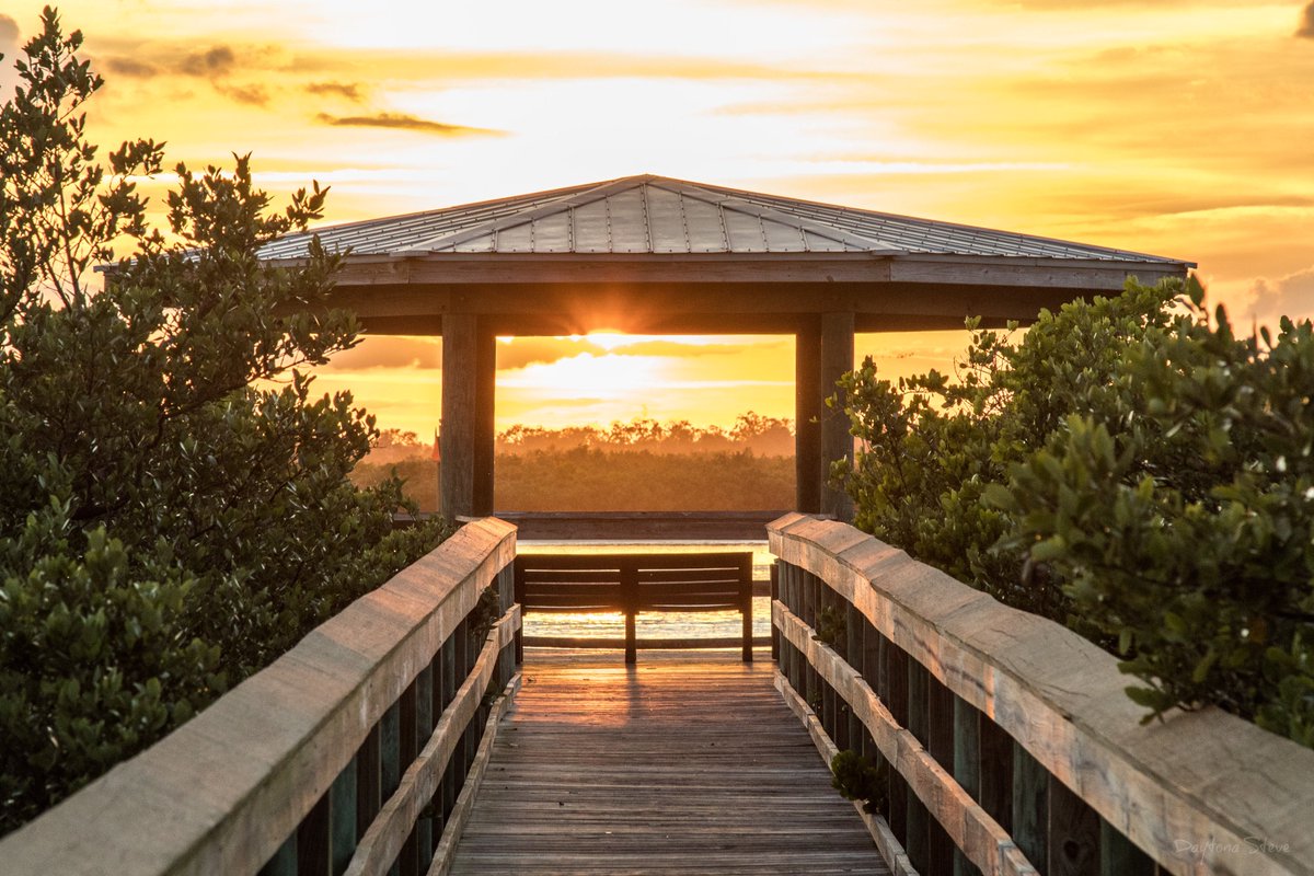 RollWithSoul's tweet image. 