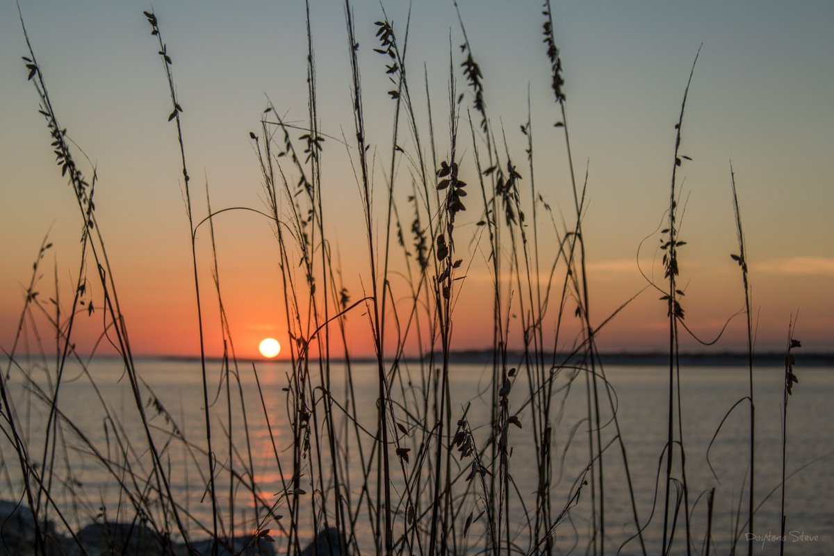 RollWithSoul's tweet image. 