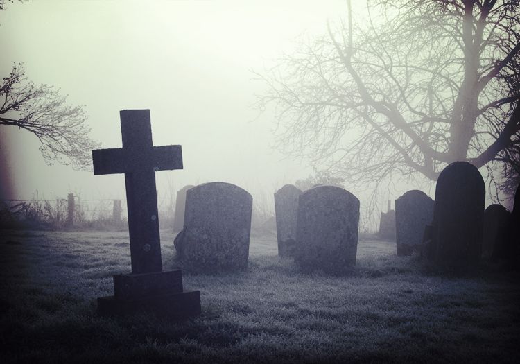 From the Beyond: 13 People Share their True Ghost Stories and Otherworldly Tales ~ theoccultmuseum.com/beyond-13-peop…