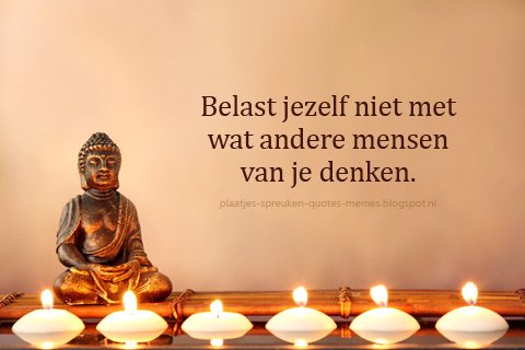 plaatjes-en-spreuken on twitter: "meer wijze boeddha quotes en
