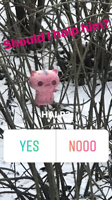 Found this little buddy today #halp https://t.co/NRuvCeRhL9<a href="/tag/halp"class="tags">#halp</a>