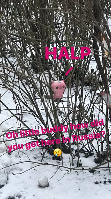 Found this little buddy today #halp https://t.co/NRuvCeRhL9<a href="/tag/halp"class="tags">#halp</a>