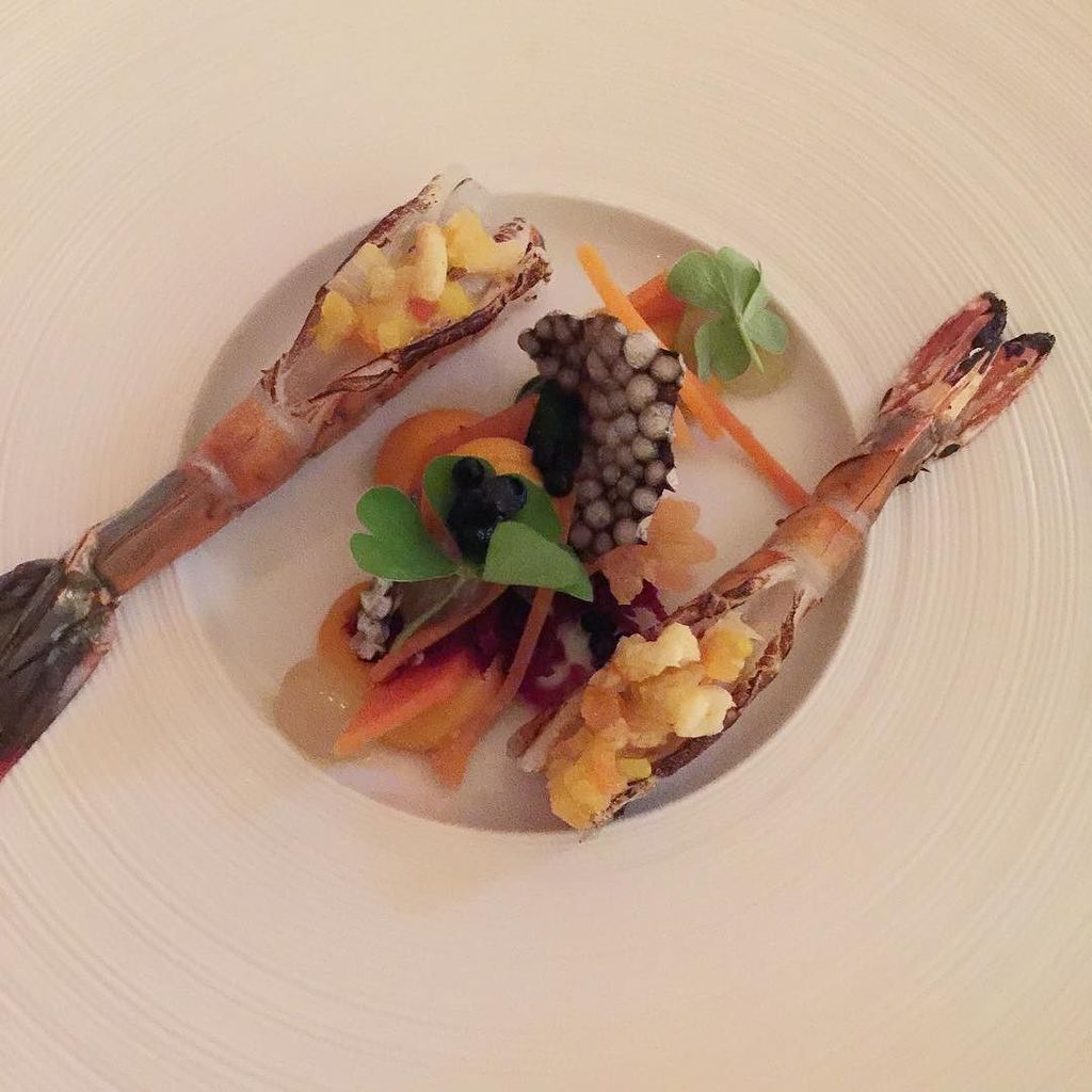 bushcook's tweet photo. Bayerische Garnele, Karotte, Ingwer, Kräuter #instafood #foodgram #foodstagram #food #foodlove #michelinstar #greatchefs #chefsofinstagram #antonpozeg #schwarzreiter #igersmunich #crustanova #foodphoto https://t.co/7o6DKaBkZw