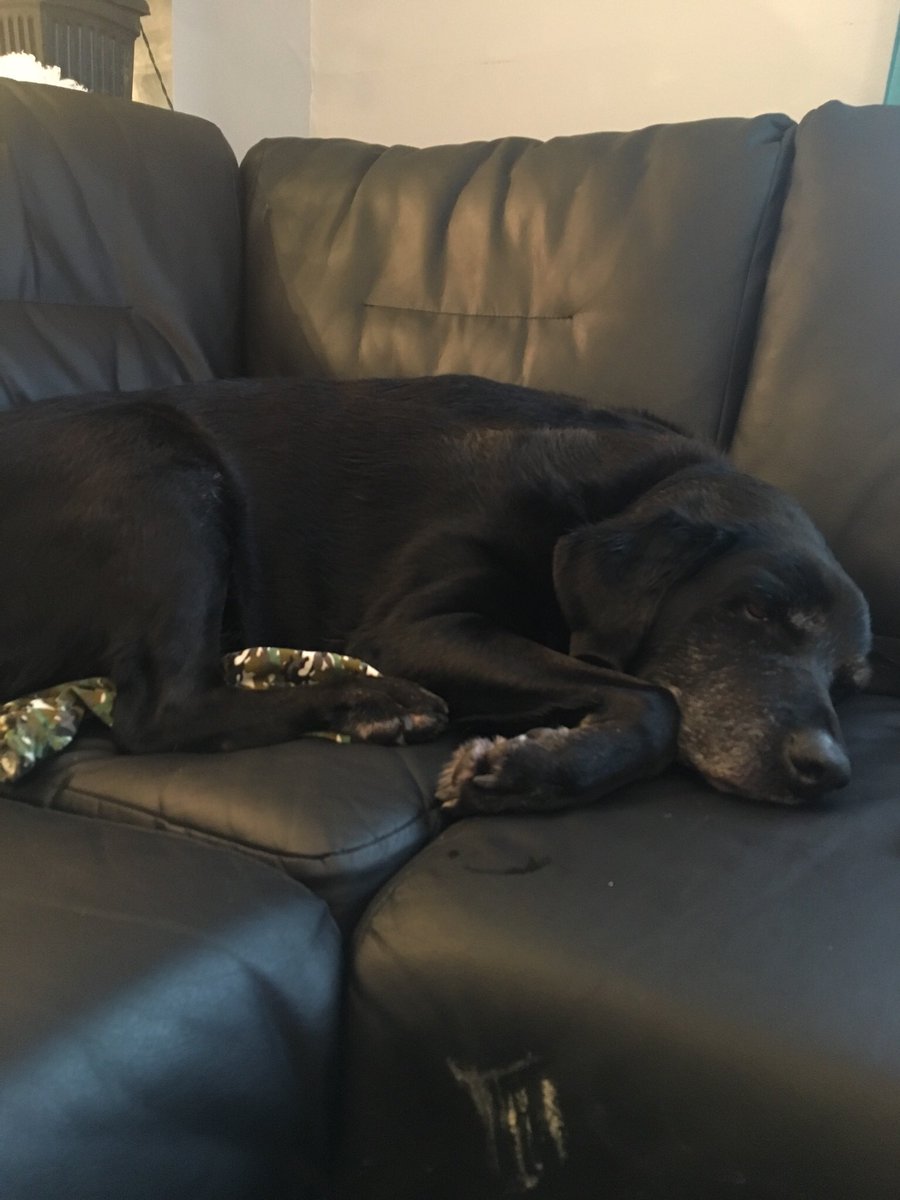 Mike Nicoll tweet media