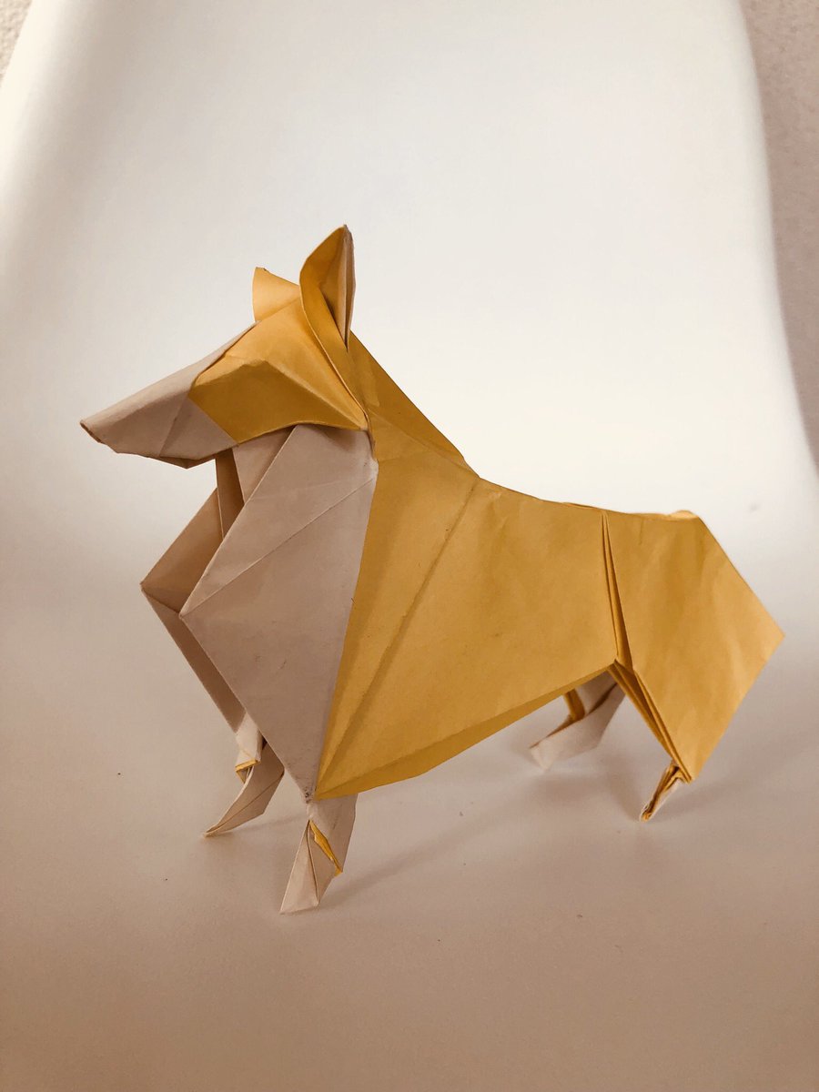 折り紙職人 בטוויטר Collie コリー犬 Nicolas Gajardo Henriquezさん作 30 折り紙使用 コリー犬に見えるかどうか心配 T T 折り紙作品 折り紙職人 בטוויטר Collie コリー犬 Nicolas Gajardo Henriquezさん作 30 折り紙使用 コリー犬に見えるかどうか心配 T T 折り紙作品