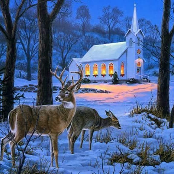 dyoutdoors's tweet photo. I hope everyone has a very Merry Christmas and Happy New Year!!! #DYOutdoors #MerryChristmas #HappyNewYear https://t.co/1UurzM7o6B
