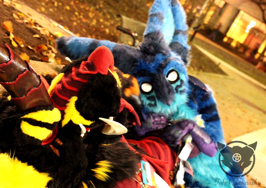 Sempai_Tofu's tweet photo. Get off me Enoch, your killing me..... But your comfy, and soft.
@Fursewna_Studio 

#mff2017 #midwestfurfest #mwfff17 #mff17 #mwff2017 #midwestfurfest2017 #furfest2017 #furry #furries #furryfandom #fursuit https://t.co/zxzHU6e38J
