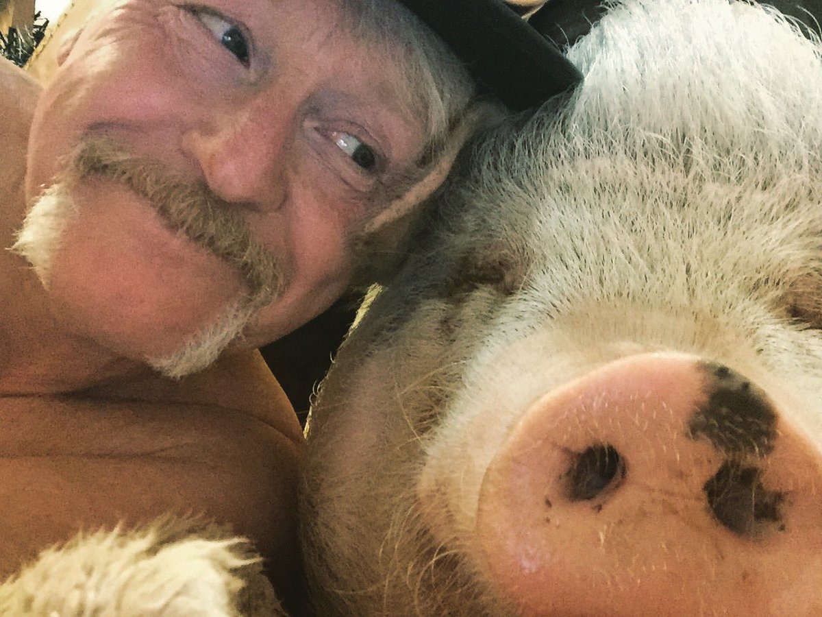 RobertRankine's tweet photo. With my best mate on Xmas eve eve.. #micropog #pam #pamthepig https://t.co/8tcXwoifhK