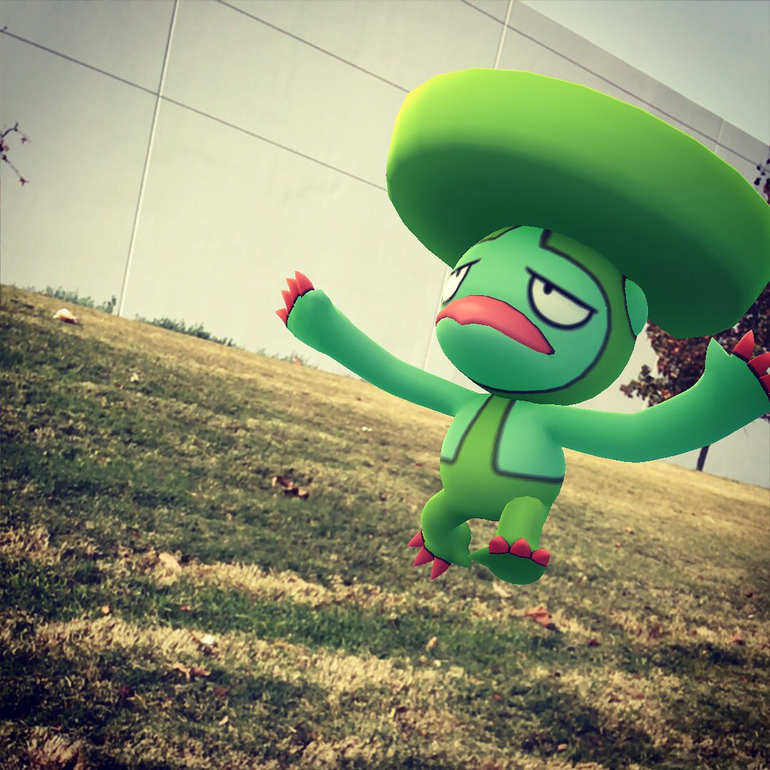 chr1s619's tweet image. Skipping around..
@PkmnMasterHolly 
#armode #pokemongo #lombre