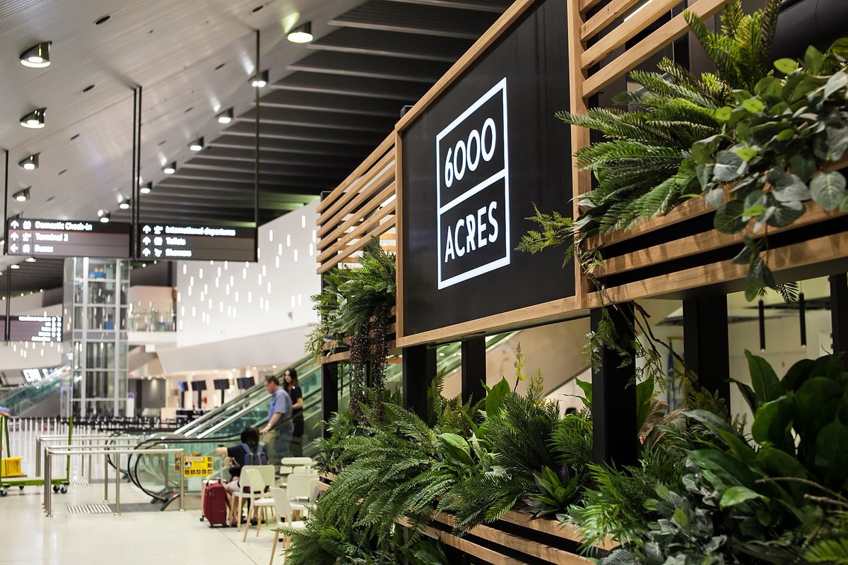 5Senses's tweet image. Airport coffee doesn’t have to be terrible! Here’s where to fuel up before a flight:
@PerthAirport
T1 | Landside // 6000 Acres
T3 | Airside // Three Bears
@SydneyAirport
T1 | Airside // @kitchenbymike
@Melair
T2 | Airside // @CafeVue