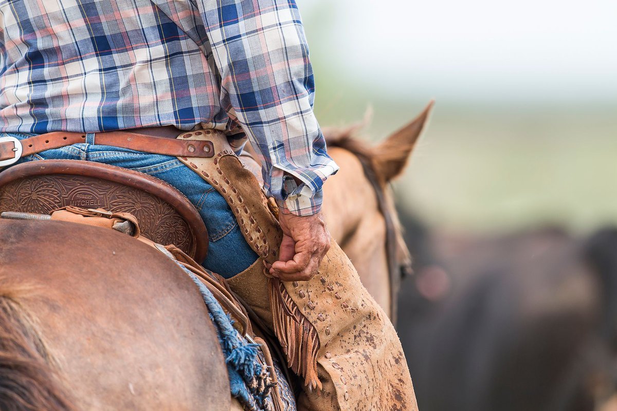 Retweet if this looks like your perfect day. #ranchlife #horses buff.ly/2BziHp4