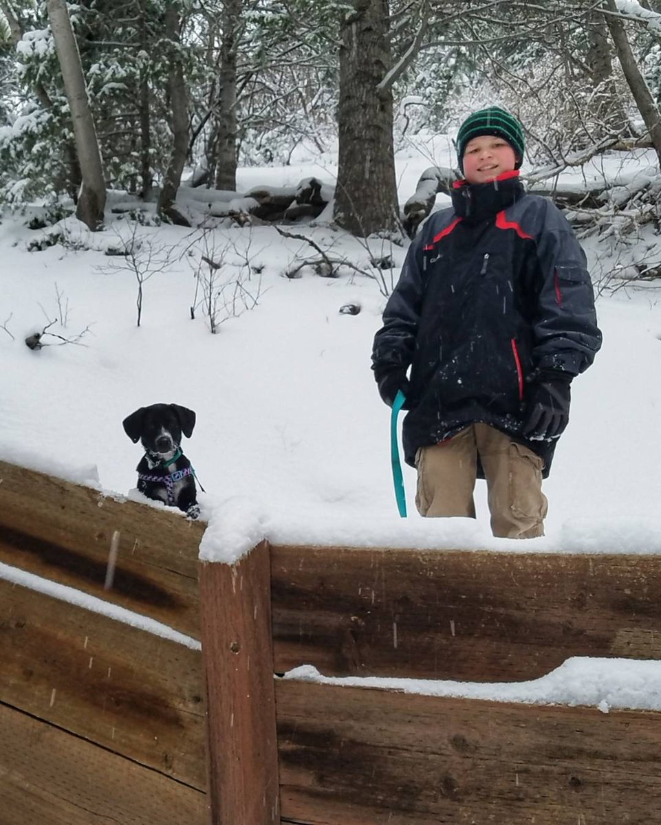 dannahyer's tweet photo. #adventurewithdad #puppylife #hiking #utah #utwx @ChaseThomason @WeatherNation @weathercaster @UtSkiConditions @utahskiweather @AlanaBrophyNews @UtahWxMan @StormHour @MichaelLab06 @Carol1Dyer @KSLcom @KUTV2News @fox13 @ https://t.co/fx3iIg5hLG