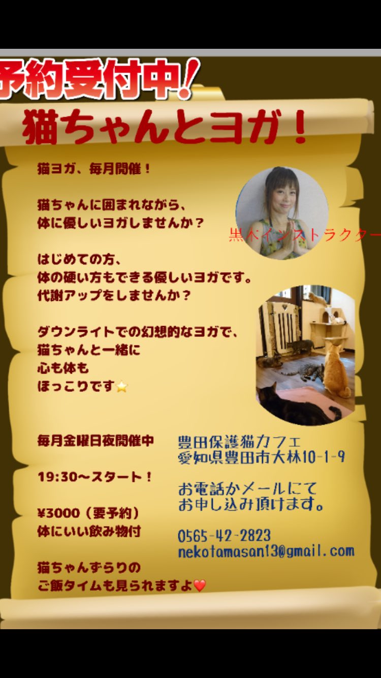 Rie Kuroki 愛知県豊田市 保護猫カフェねこたまにて 猫ヨガを月一で開催しています 来年1月は19日金曜日 2月は16日金曜日 3月は23日金曜日19 30 開催します 初めて猫カフェ 初めてヨガの方も 大歓迎ですよ 体硬い方も大丈夫 ぜひぜひ おまちし Rie Kuroki 愛知県豊田市 保護猫カフェねこたまにて 猫ヨガを月一で開催しています 来年1月は19日金曜日 2月は16日金曜日 3月は23日金曜日19 30 開催します 初めて猫カフェ 初めてヨガの方も 大歓迎ですよ 体硬い方も大丈夫 ぜひぜひ おまちし