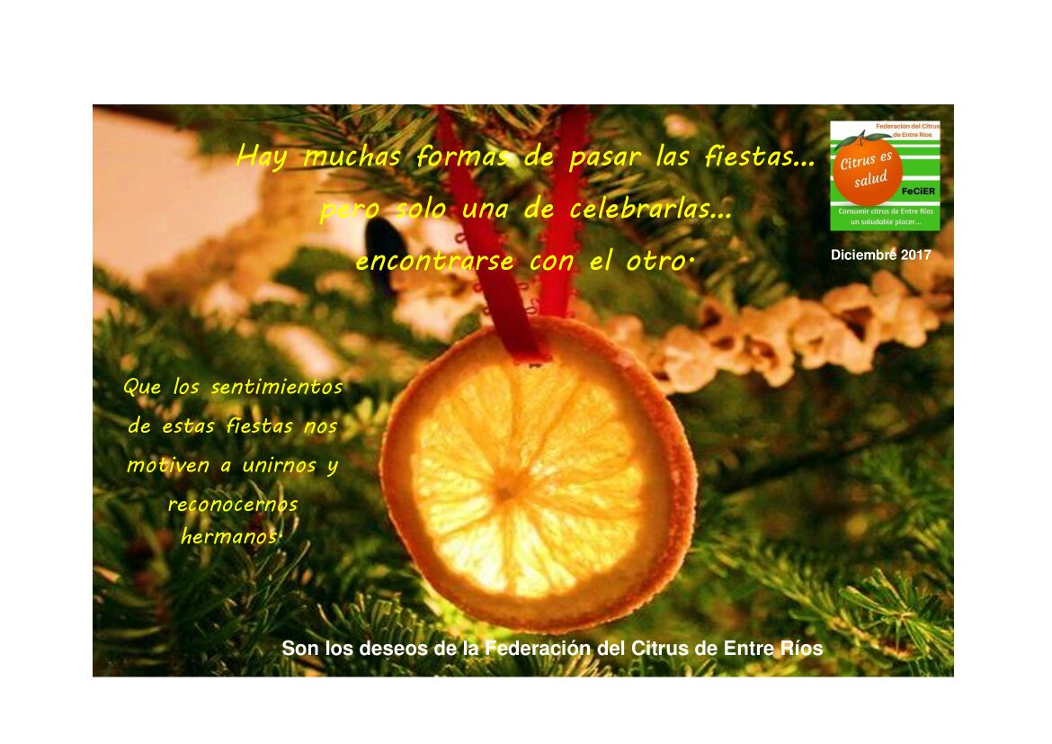 FeCiER (@fecier1) on Twitter photo 