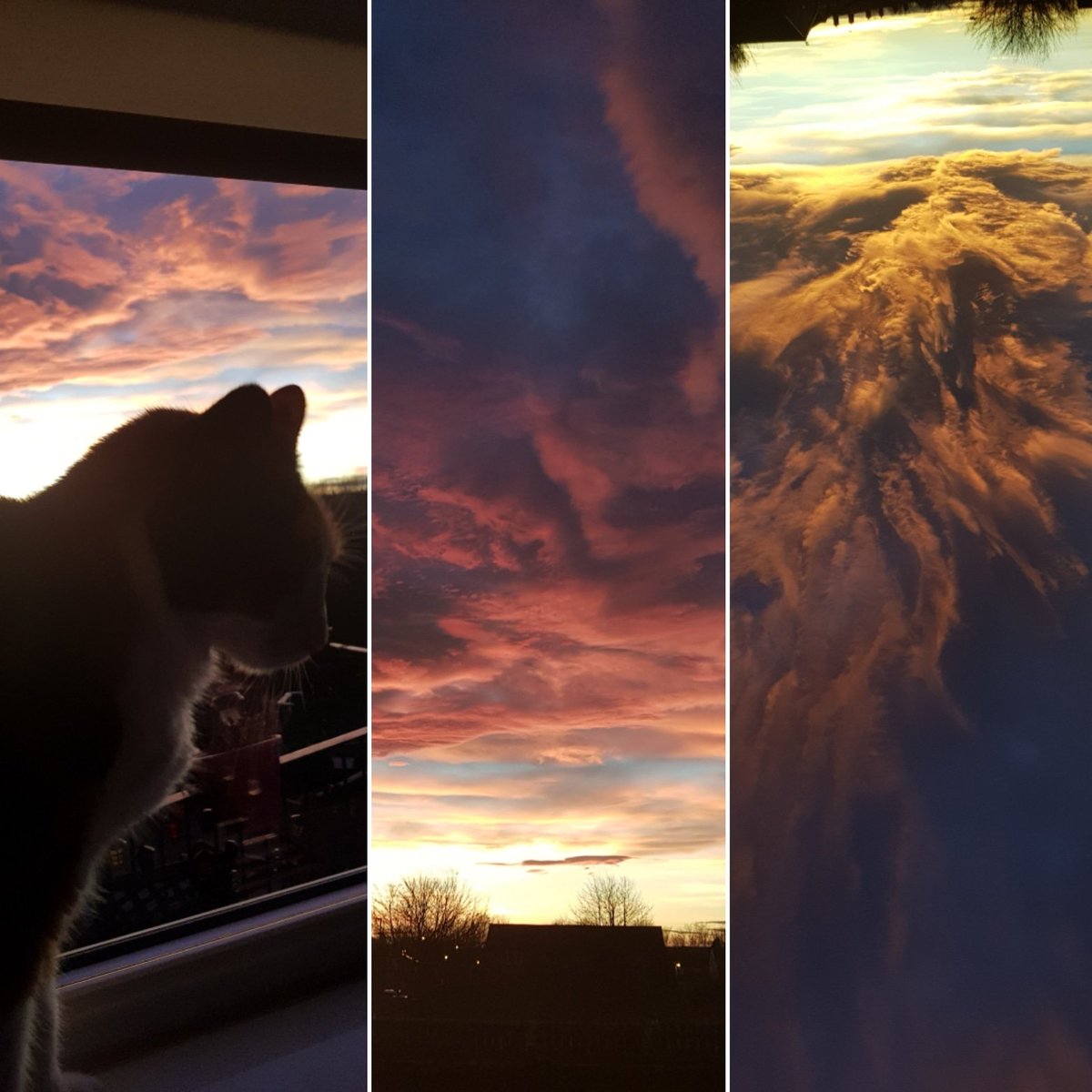 KHuntrod's tweet photo. Epic shots taken with Galaxy S8 camera

#S8 #Cameras #CatsOfTwitter #skyporn #upsidedown https://t.co/W3aKpOclYp